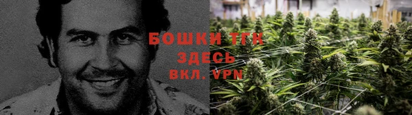 прущие крисы Аркадак