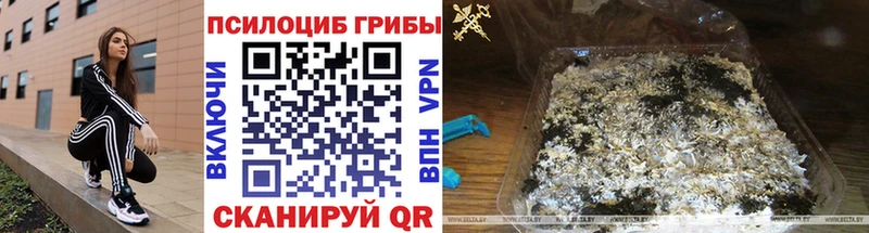 Псилоцибиновые грибы Psilocybine cubensis  дарнет шоп  OMG ТОР  Бавлы 